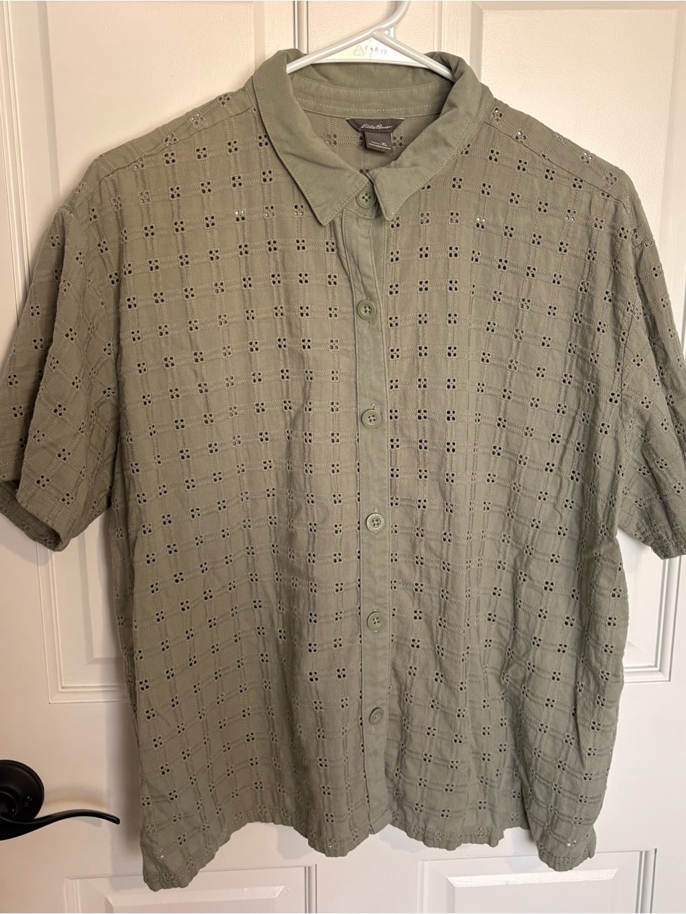 Eddie Bauer Sage Breen collared button down short sleeve  shirt see through